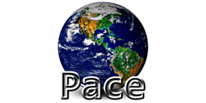 Pace Punches